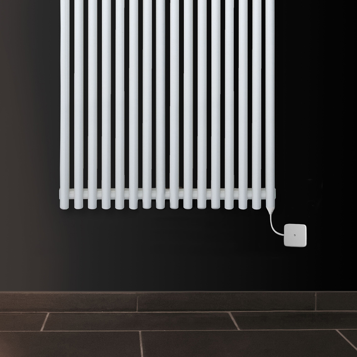 Eucotherm Gaja Electro Steel Electric Vertical Designer Radiator