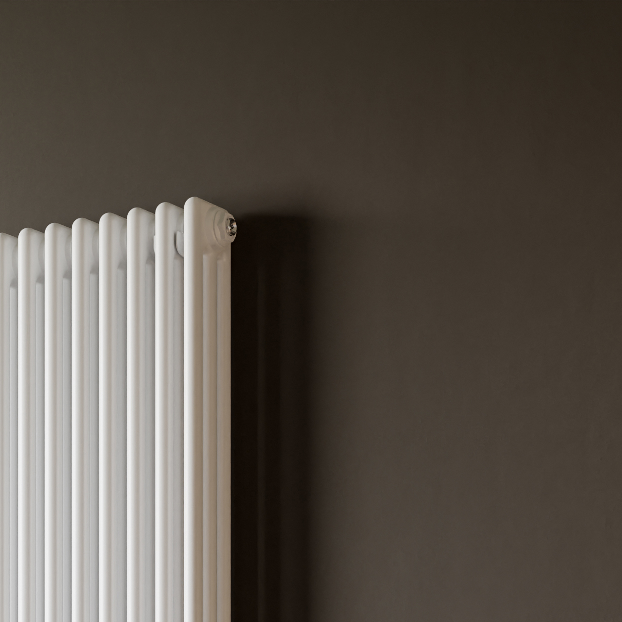 Eucotherm Phoenix Steel Vertical Column Designer Radiator